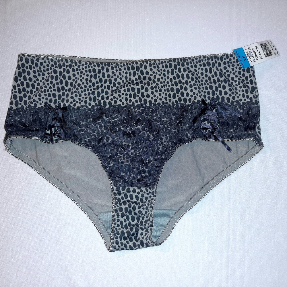 NWT 🤍 Paramour Brief Panty